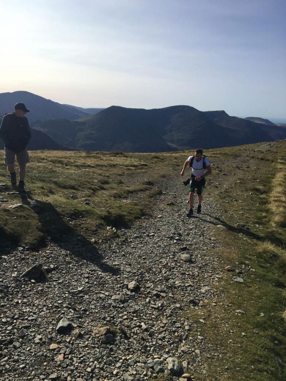 Frog Graham Round / Richard Anderson