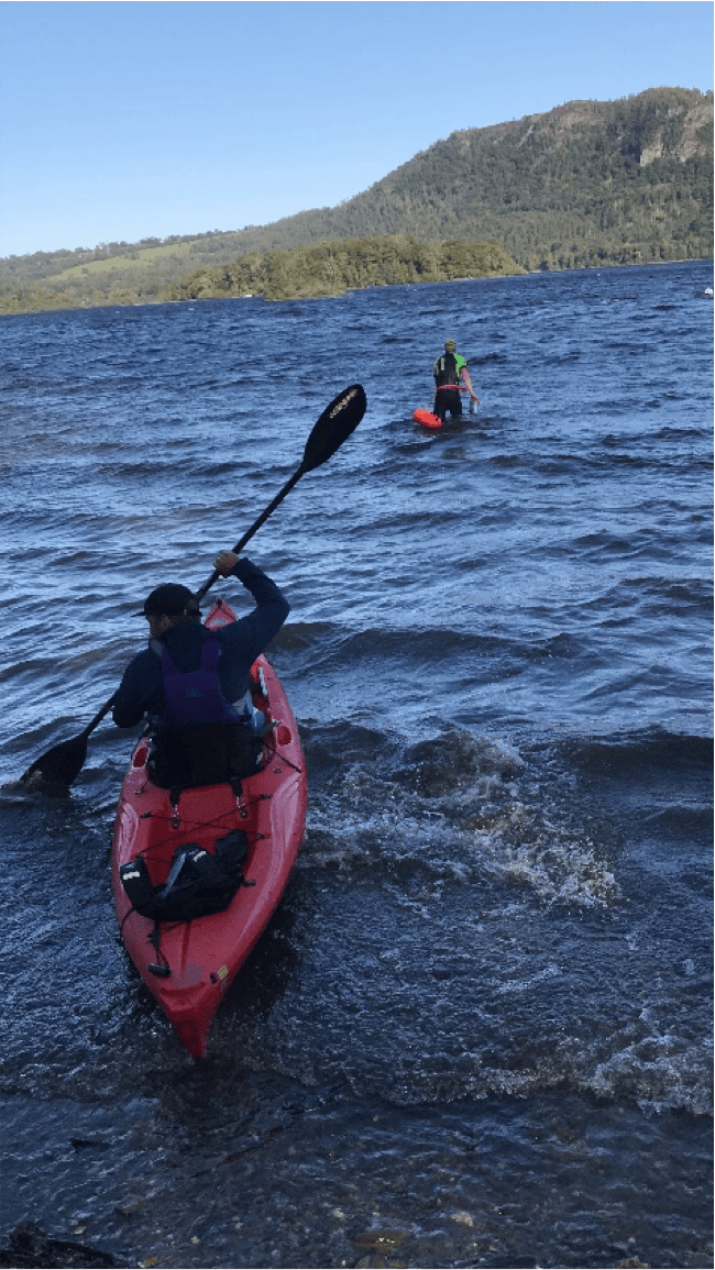 Frog Graham Round / Richard Anderson