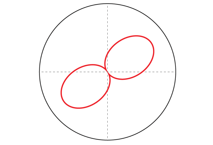 Wattbike Polar View - Foundation