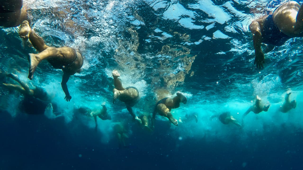 Underwater view of open water swimmers