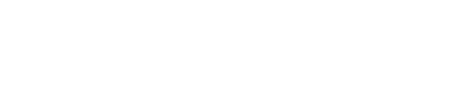 BornBound logo white