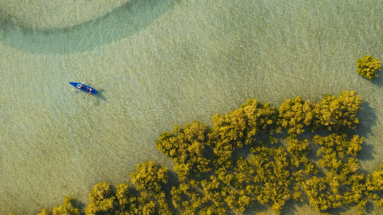 Challenge Sir Bani Yas aerial location